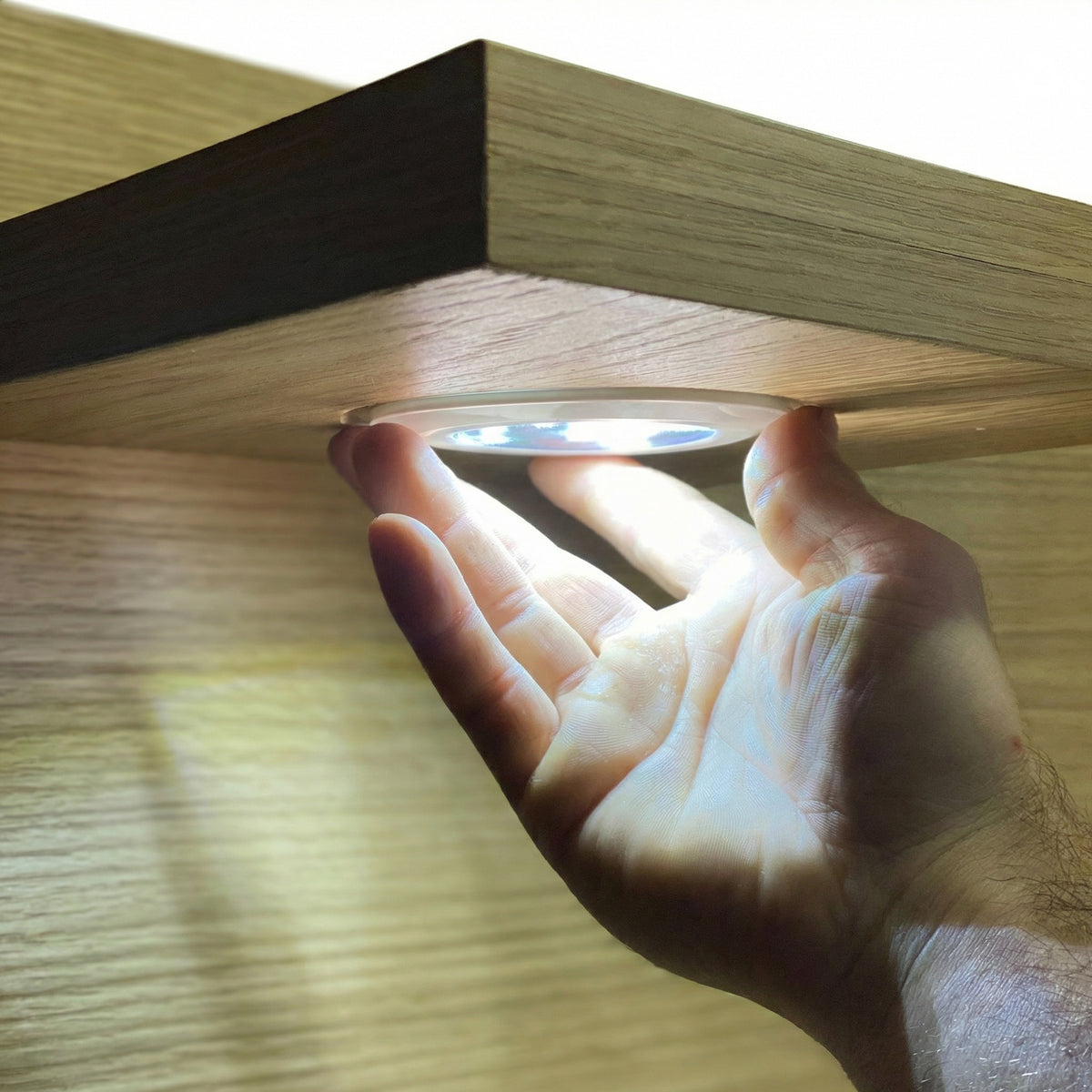Shelving / Lighting