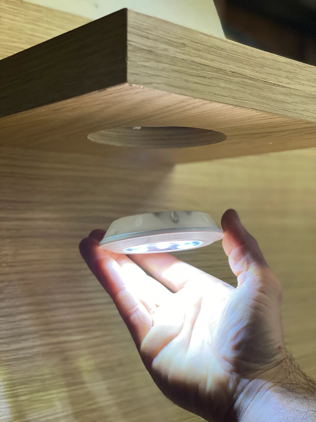 Shelving / Lighting